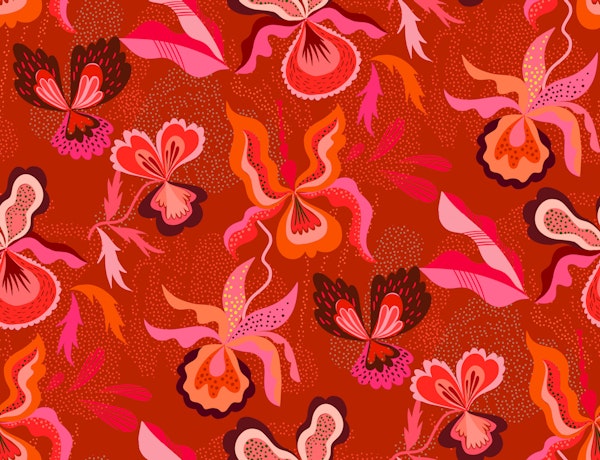 Orchids fantasy hot pink deep red