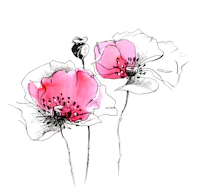 Pink Wildflower Botanical wallpaper