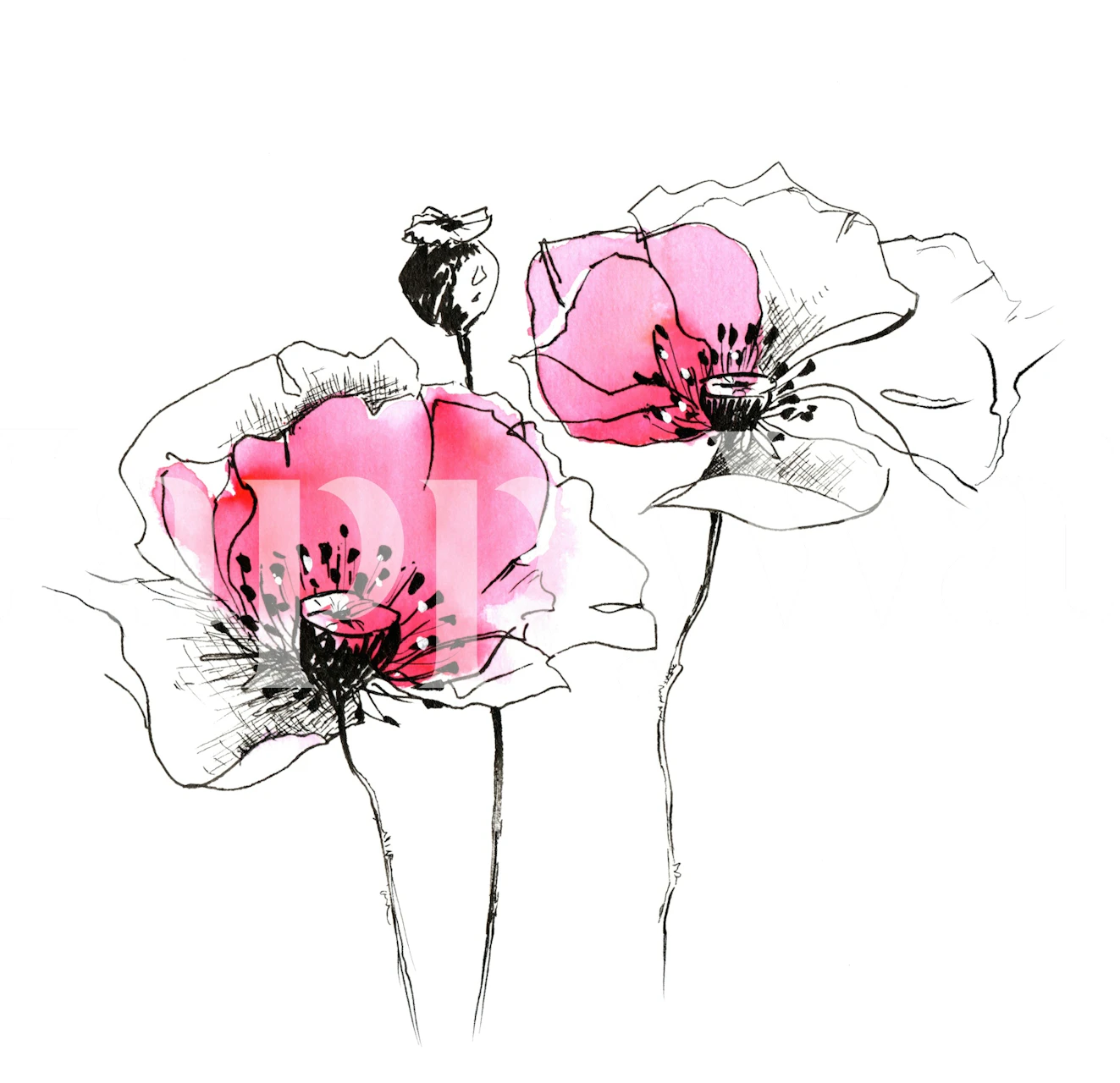 Pink Wildflower Botanical wallpaper in a room