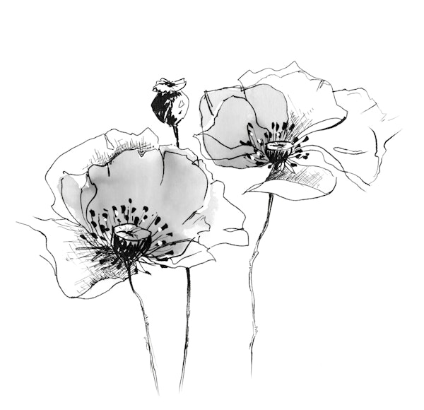 Scandinavian Floral Linework