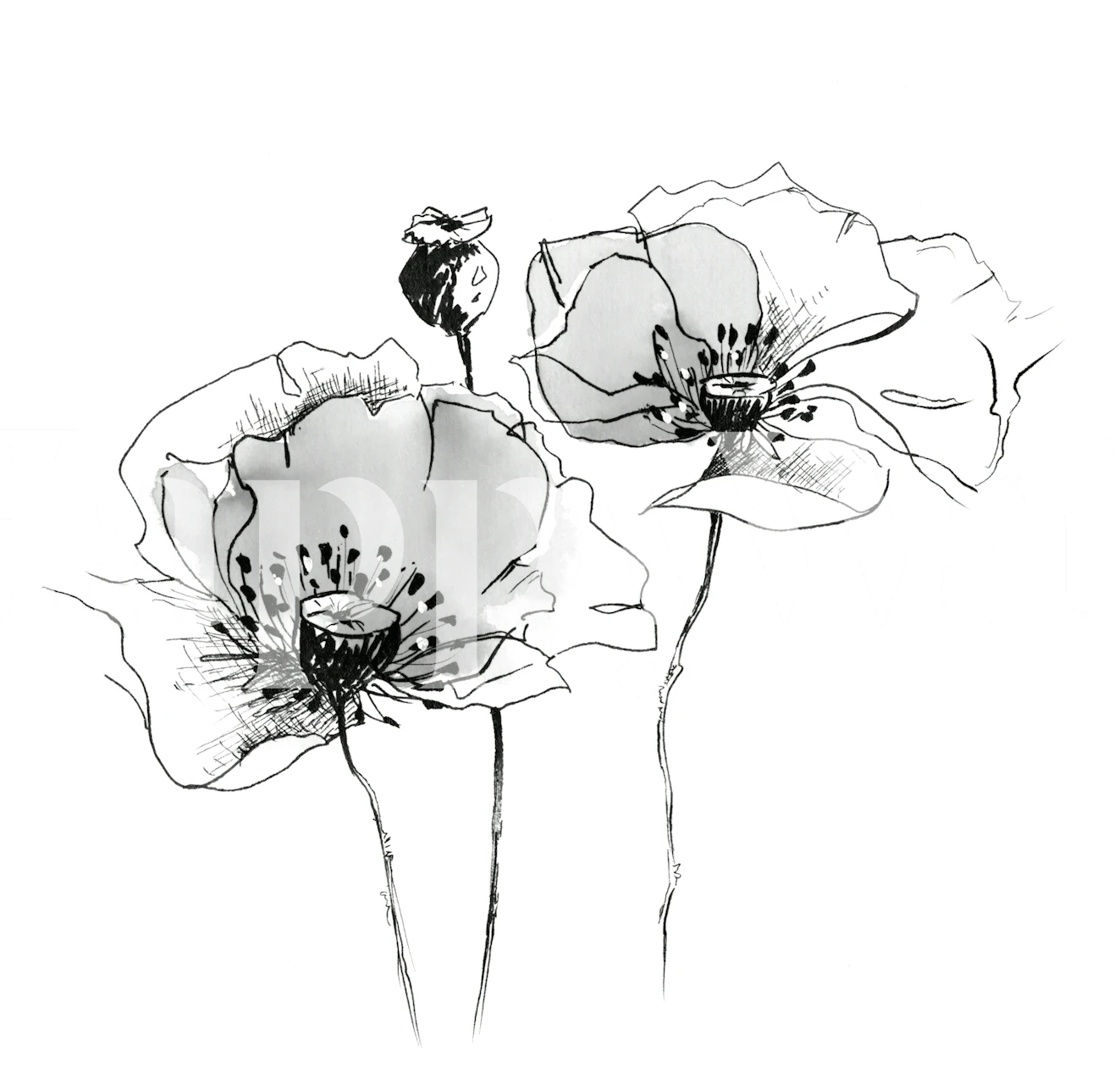 Scandinavian Floral Linework tapeta v místnosti