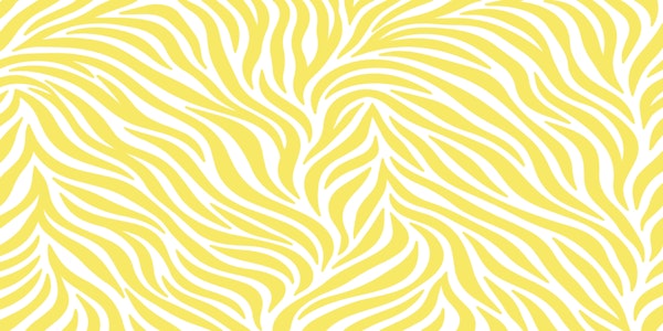 Yellow Safari Zebra