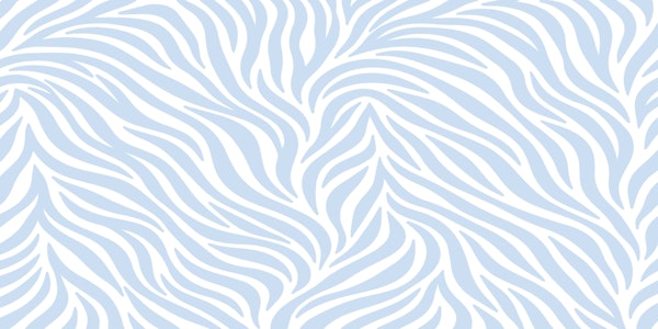 Sky Blue Zebra Stripes