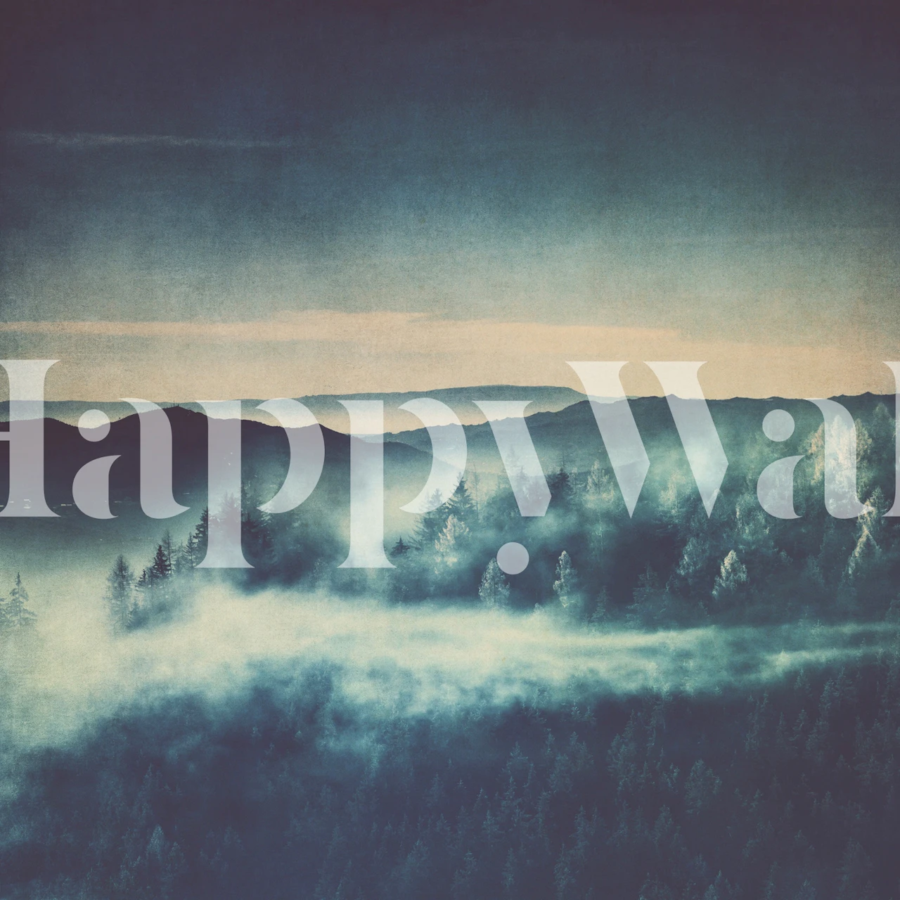 Mountain Fog and Pine Forest wallpaper in a room