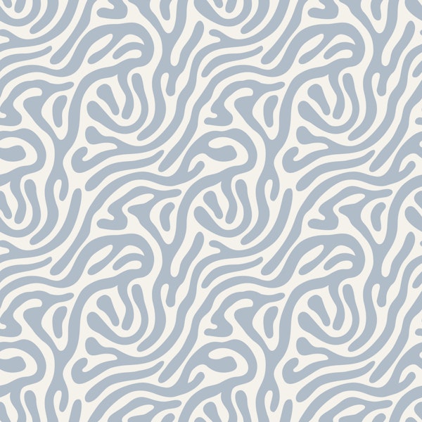 Calm Coastal Abstract Curves Grey