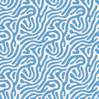 Calm Coastal Abstract Curves Blue White wallpaper
