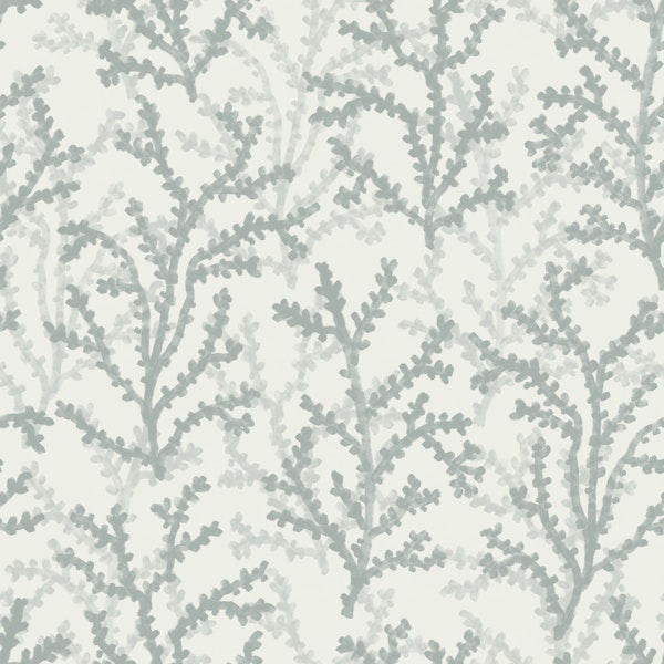 Painted Coraline Greenish Grey