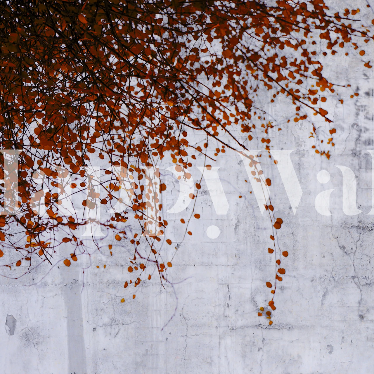 Tapeta Red autumn leaves w pokoju