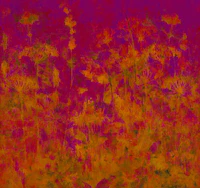 Magenta Sunset Botanicals tapete