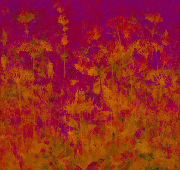 Magenta Sunset Botanicals