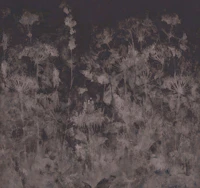 Midnight Wildflower Meadow Truffle Brown tapete