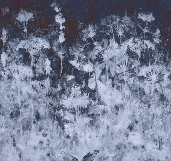 Midnight Wildflower Meadow