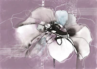 Contemporary Orchid Line Art tapet