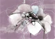 Contemporary Orchid Line Art