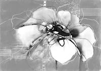 Modern Ink Floral Closeup tapet