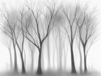 Monochrome Forest Mist tapete