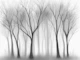 Monochrome Forest Mist