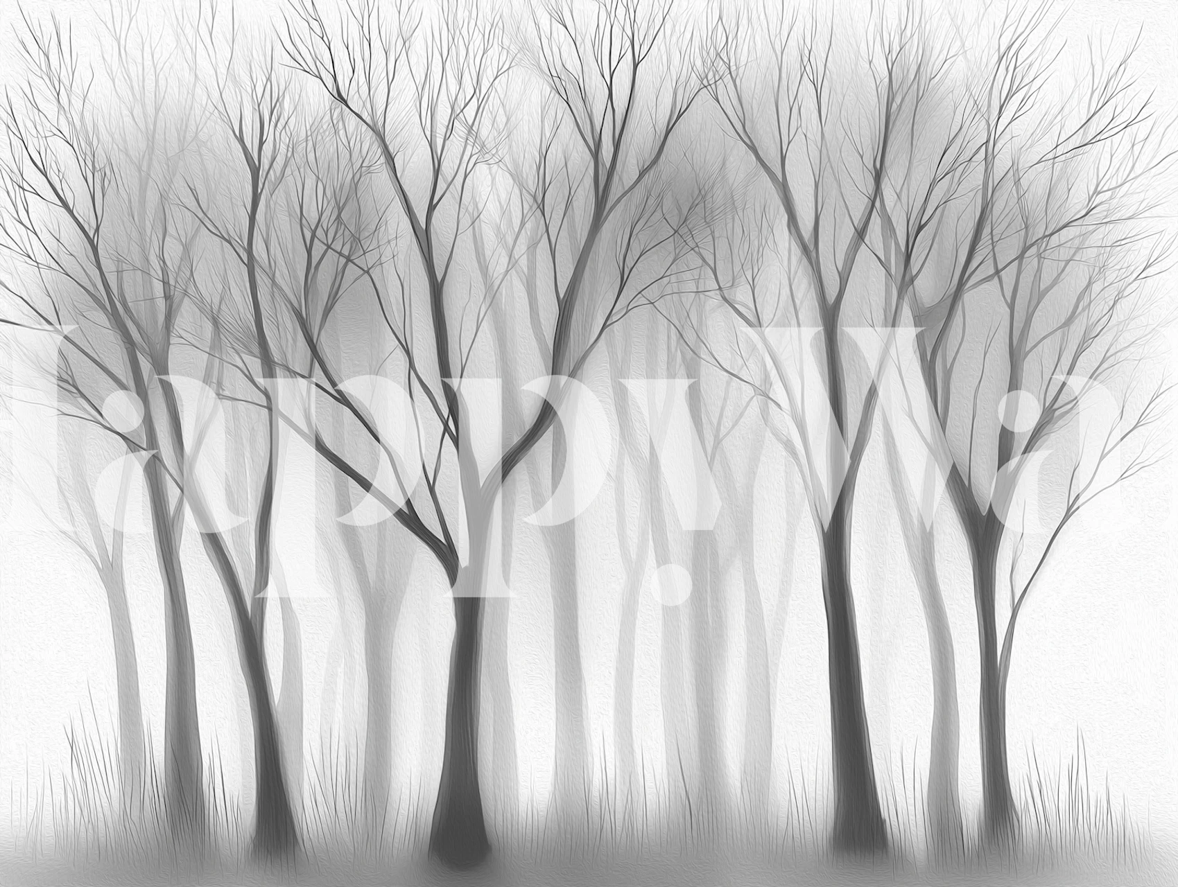 Monochrome Forest Mist wallpaper in a room