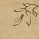 Japandi Inky Macro Leaves - Honey