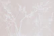 Muted Neutral Botanical Boho Browns Rustic