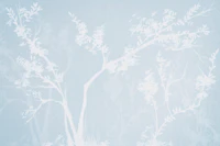 Winter Mist Tree Canopy Landscape Neutral tapete