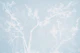 Winter Mist Tree Canopy Landscape Neutral