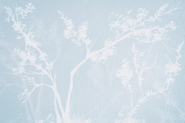 Winter Mist Tree Canopy Landscape Neutral