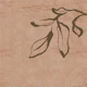 Japandi Inky Macro Leaves - Terracotta