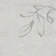Japandi Inky Macro Leaves - Dove Grey