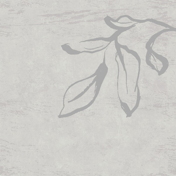 Japandi Inky Macro Leaves - Dove Grey