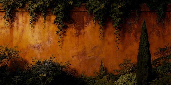 Moody Mediterranean Garden