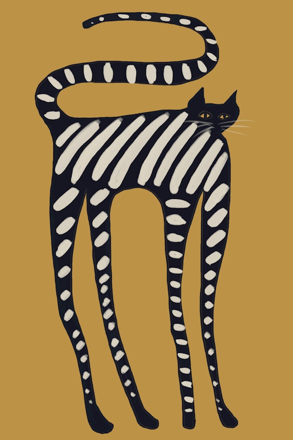 Tall Striped Cat on Mustard
