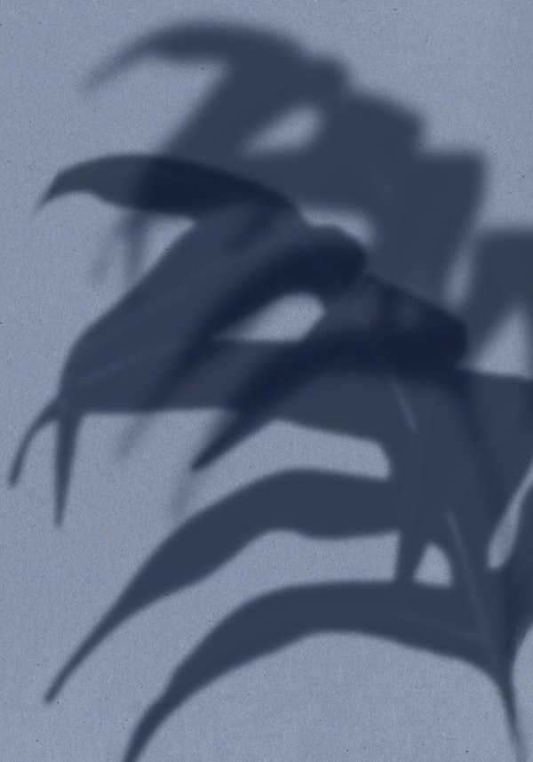 Blue Botanical Shadow