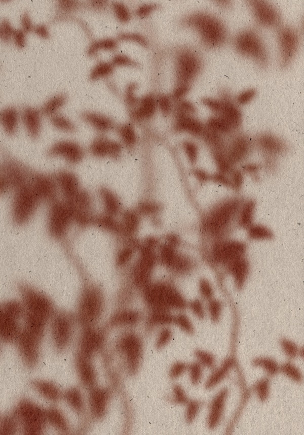 Botanical Shadow Blur