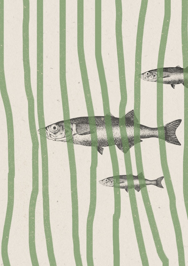 Retro Fish and Seaweed Stripes