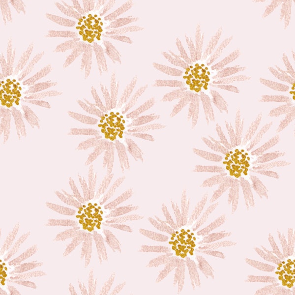 Soft Pink Daisies