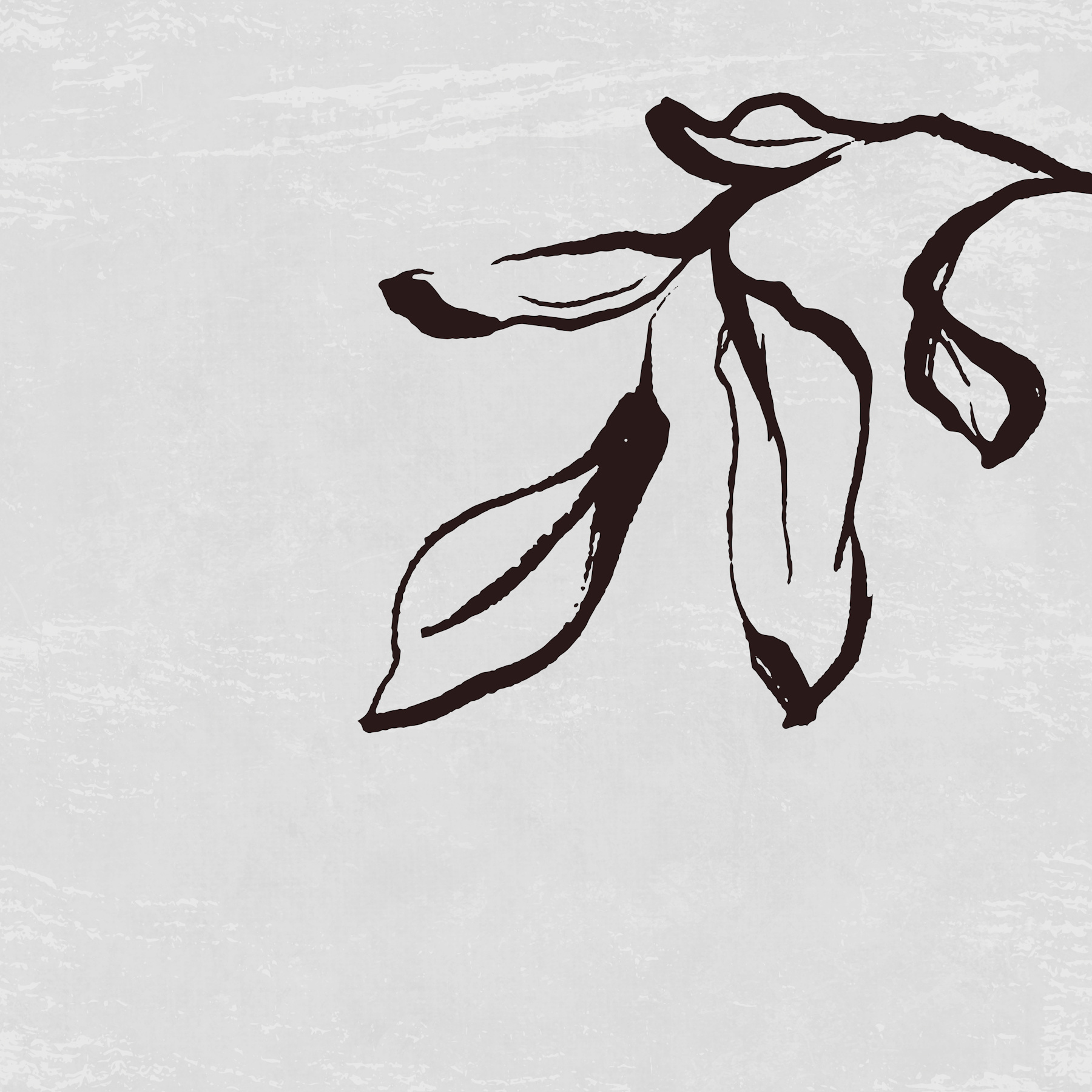blackgraywhite