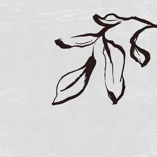 Japandi Inky Macro Leaves - Black & Grey