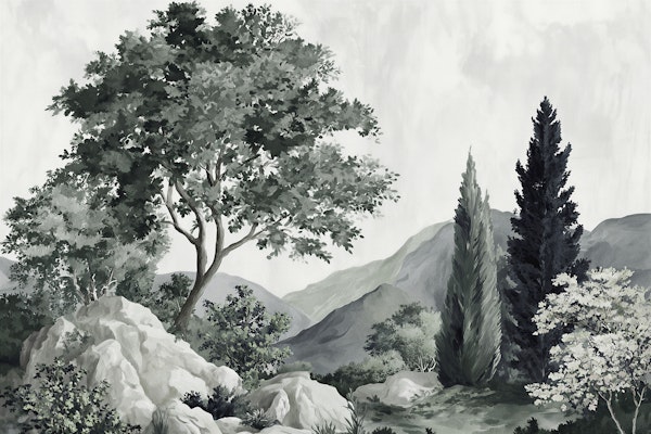 Misty Hills and Cypress Trees