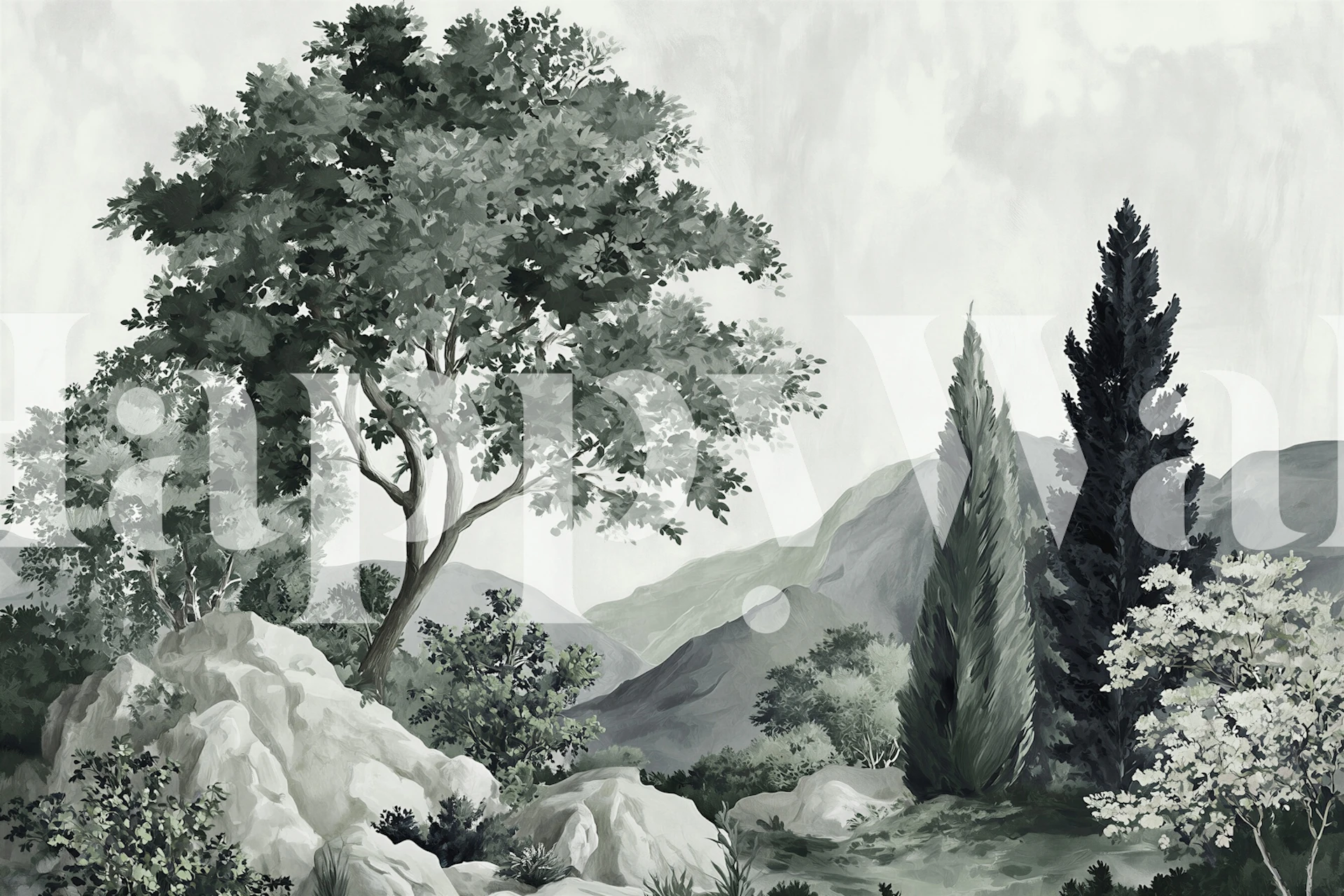 Misty Hills and Cypress Trees wallpaper