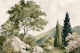 Tuscan Hillside Garden