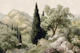 Tuscan Cypress Mountain View