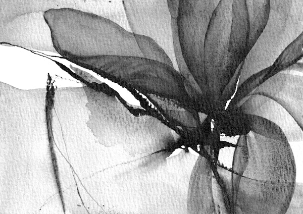 Monochrome Ink Petals