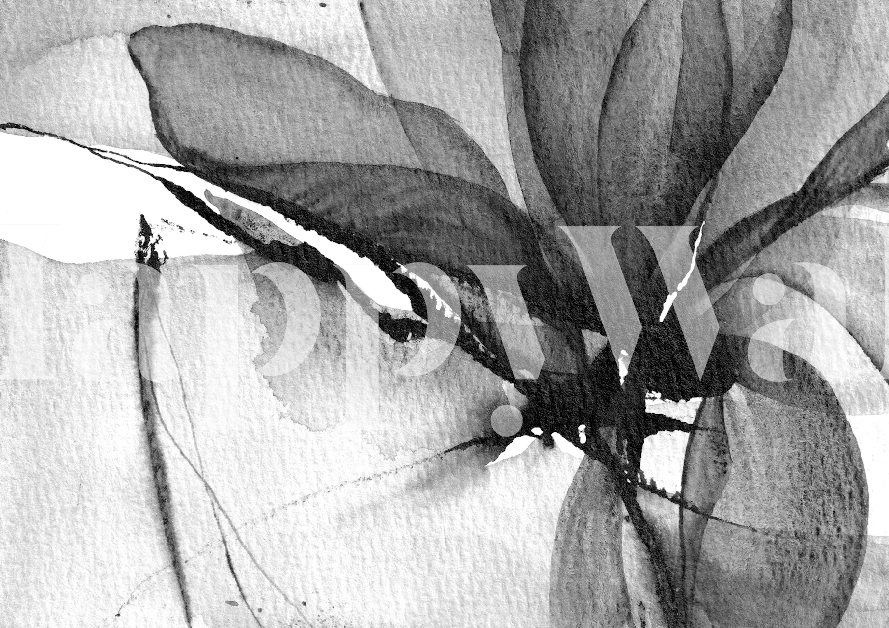 Monochrome Ink Petals wallpaper design