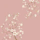 Japanese Sakura Blooms Pink