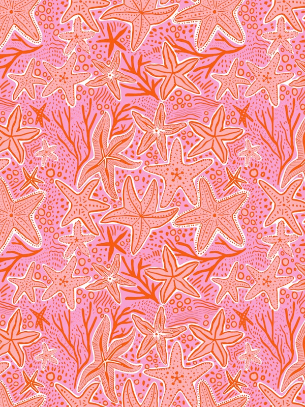 Coral Reef Starfish Pink