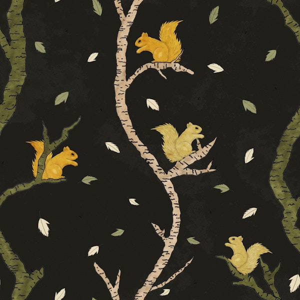 Quiet Forest Squirrels at Night