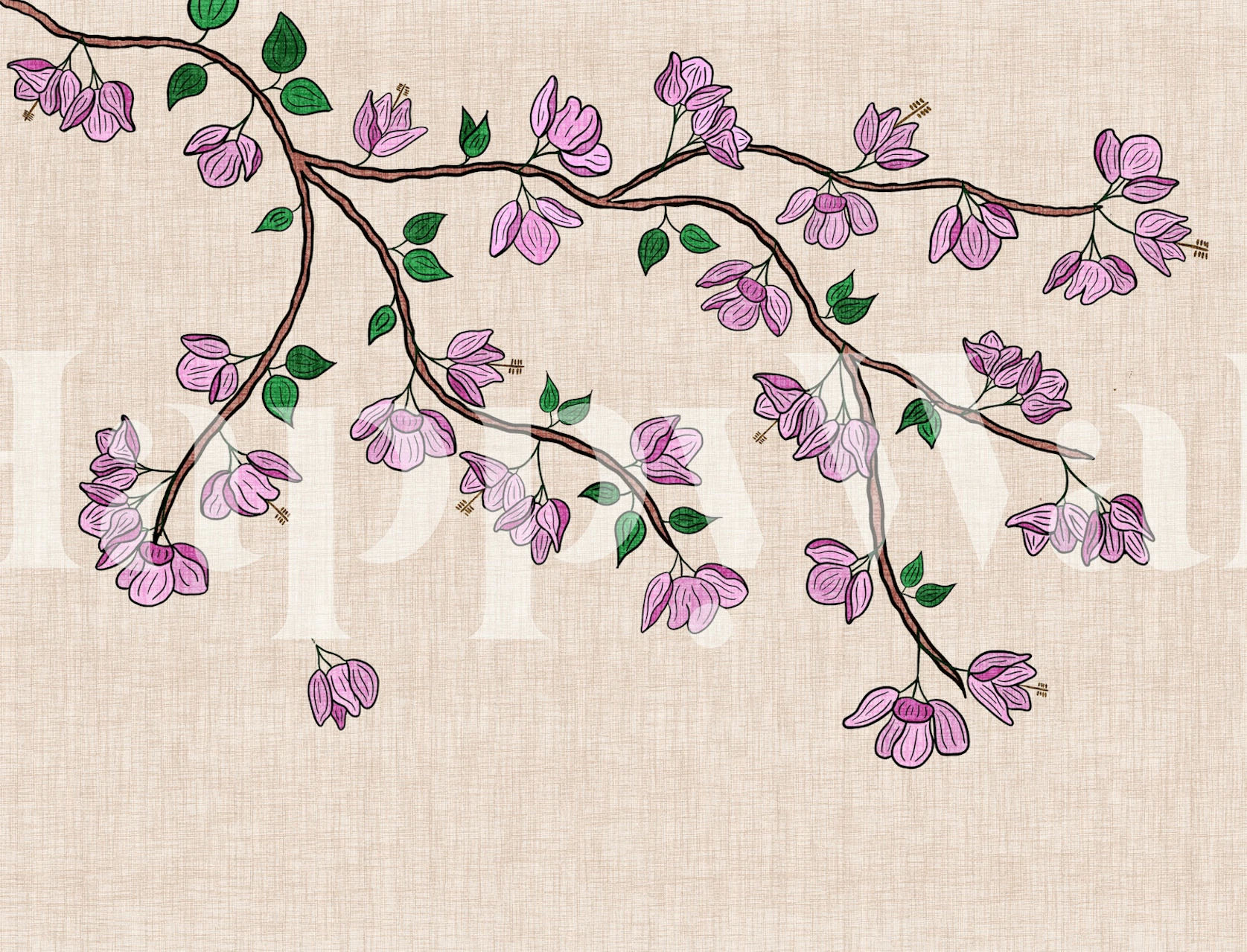 Trailing Bougainvillea carta da parati