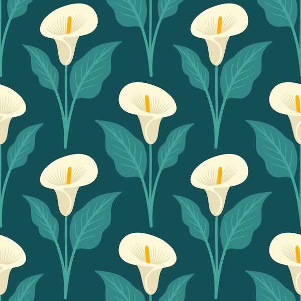 Elegant Calla Lily Bloom Teal