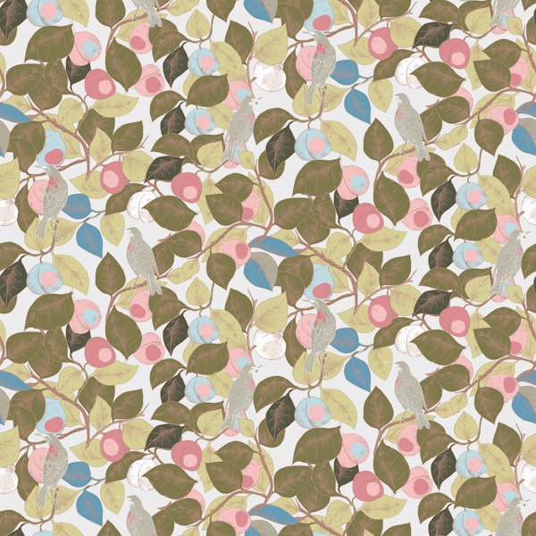 Apricots and Starlings